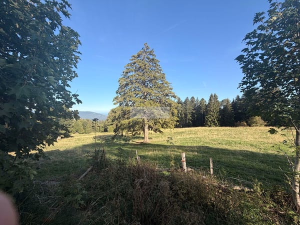 A rénover - Loge avec dégagement de 750 m2 6