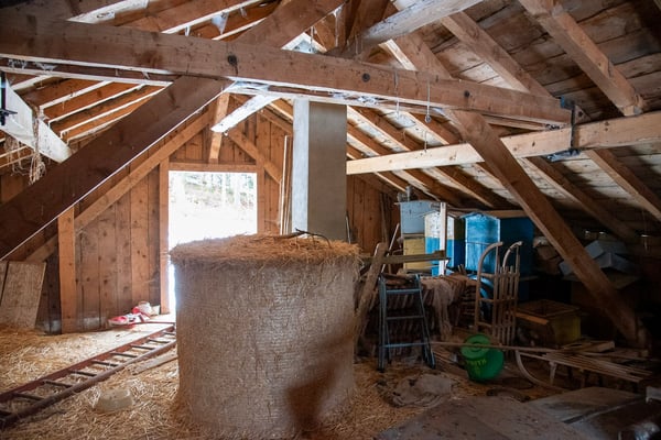 A rénover - Loge avec dégagement de 750 m2 10