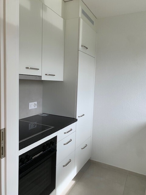 Lumineux 3 pièces au 3ème étage rénové complétement en 3035