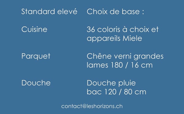 LES HORIZONS DE LA SARINE - VILLAS NEUVES À TREYVAUX 3