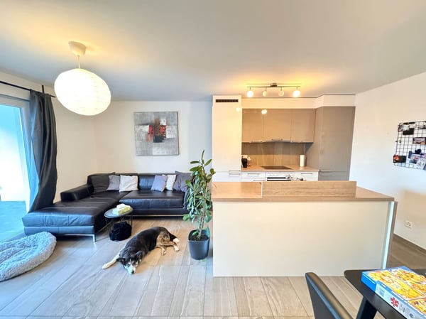 Châtel-St-Denis - Bel appartement de 1.5 pièces avec terrasse 2