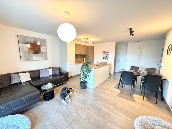 Châtel-St-Denis - Bel appartement de 1.5 pièces avec terrasse 5