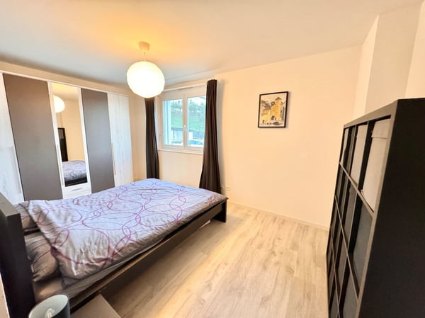 Châtel-St-Denis - Bel appartement de 1.5 pièces avec terrasse 3