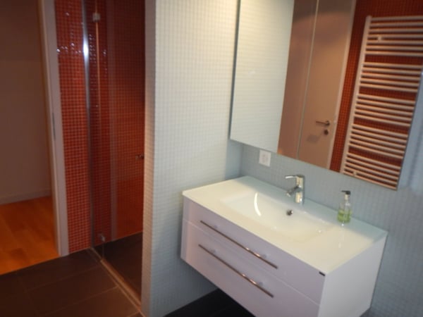 Spacieux appartement meublé de 4,5 pièces d'env. 160 m2 à La Tour-de-Peilz 9
