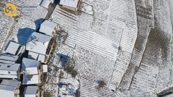 Ollon - Immeuble Historique avec Granges à Rénover 5