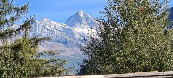 Chalet de standing de 5.5 pièces sur plan, vue panoramique. 3