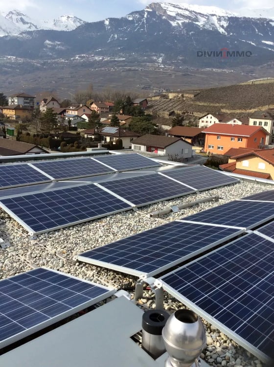 Modern 1.5-room apartment with vegetable garden 7