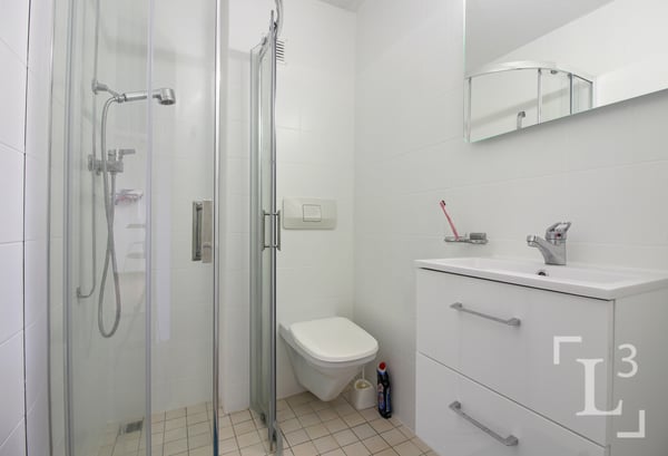 Spacieuse propriété avec grand jardin et vue sur les Alpes 9