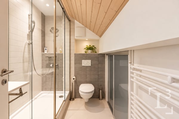 Spacieux duplex en attique avec balcon + un potager! 12