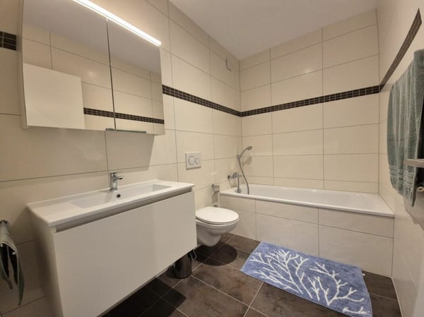 Plugin 4 - Appartement 3.5 pièces en duplex 14