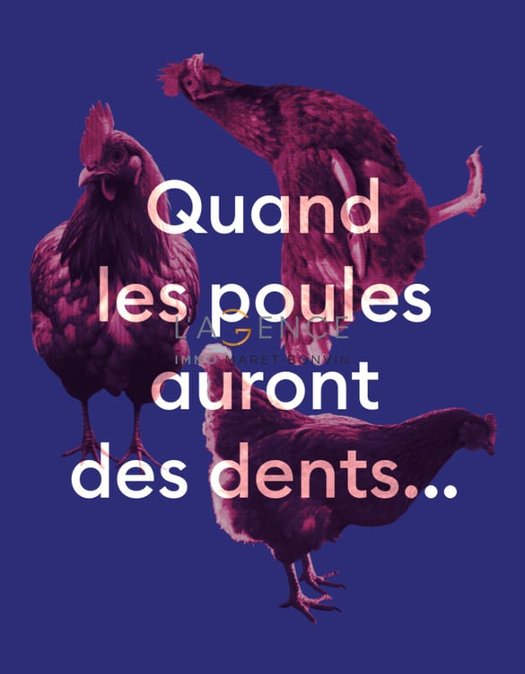 LOCAL COMMERCIAL / BUREAU AU COEUR D'EVOLENE 5