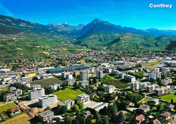 HALLE INDUSTRIELLE /MENUISERIE 1