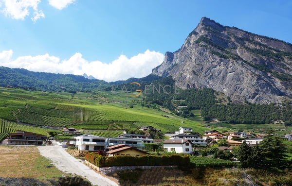 ATTIQUE DE 1.5 PIECES 3