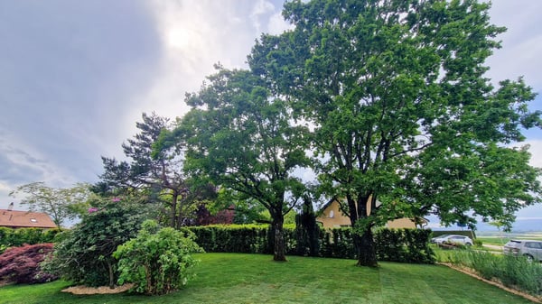 Duplex 1.5 sq.ft. with splendid garden and terraces in fully renovated architect-designed villa, 300 m. from LEB station in Bercher 3