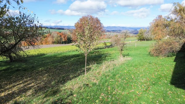 Sale on plans in Rueyres : Villas 1.5 pcs of 180 m2 hab. with nice view on the valley, 1 km from Leb de Bercher train station 4