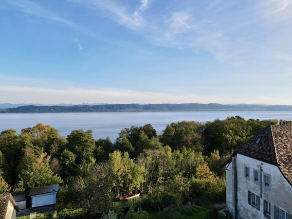 5 lots already sold! Only one 1.5-room apartment left - lot N5 8