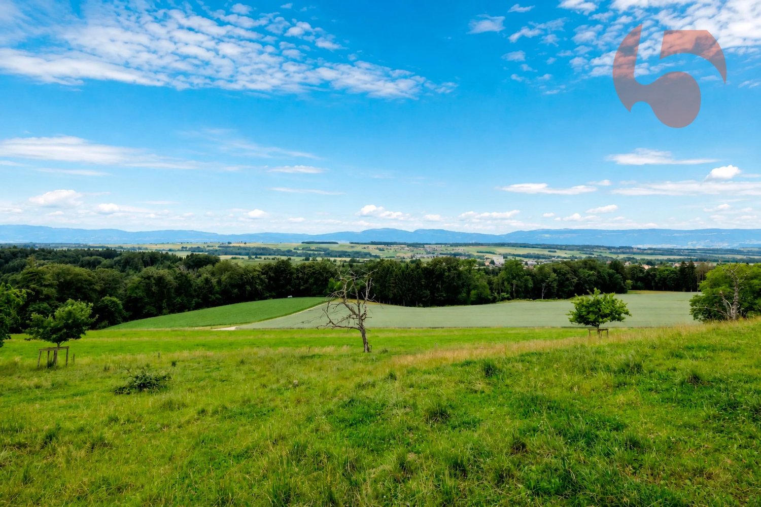 Immobilie in Boulens - Magnifique villa de 4.5 pièces avec vue panoramique sur le Jura et la campagne environnante - Bild 2