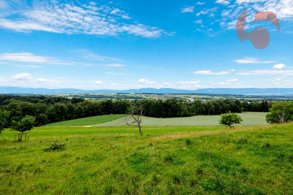 Magnifique villa de 4.5 pièces avec vue panoramique sur le Jura et la campagne environnante 4