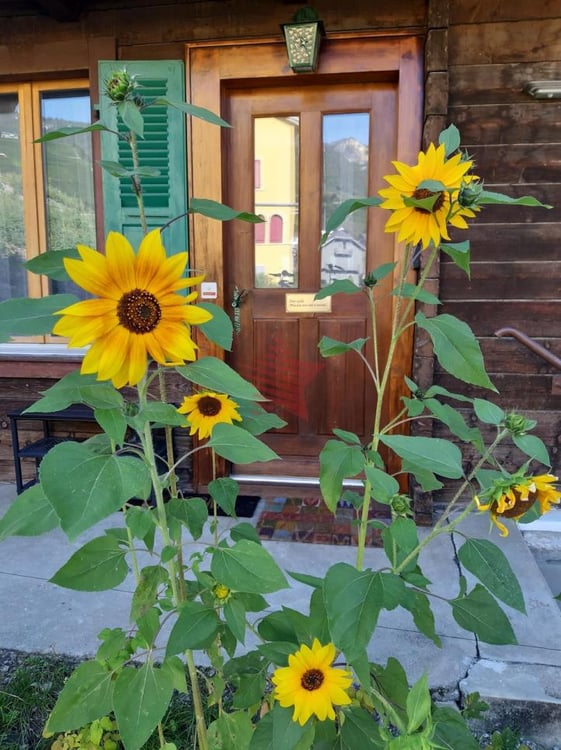 1.5 pièces rénové en 2023 proche du centre 6