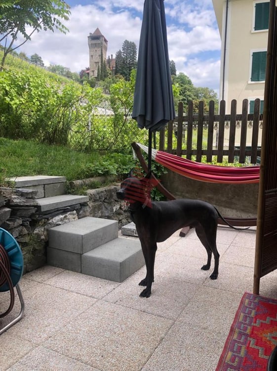 1.5 pièces rénové en 2023 proche du centre 3