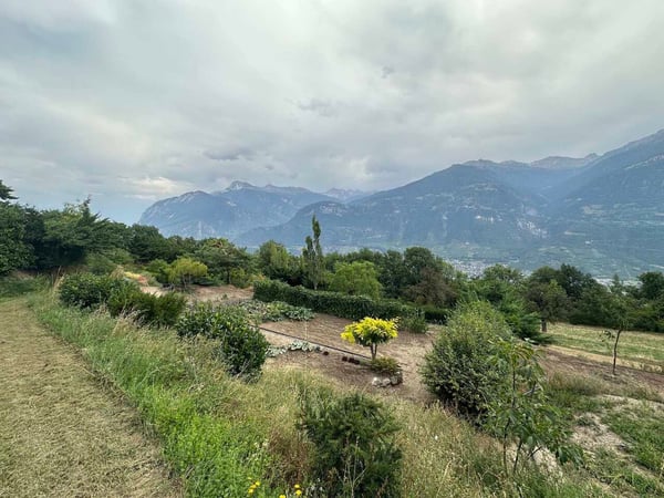 Villa Spacieuse sur Parcelle de 10'000 m² à Chermignon-d'en-Bas 5