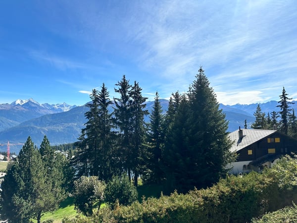Superbe Appartement Rénové Proche du Centre 7