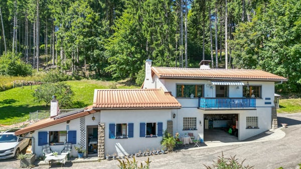 BLONAY - MAISON COUP DE COEUR EN PLEINE NATURE !