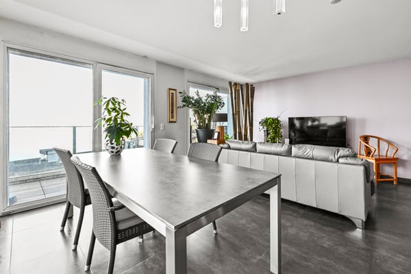 MONTREUX - ATTIQUE AVEC VUE PANORAMIQUE 6