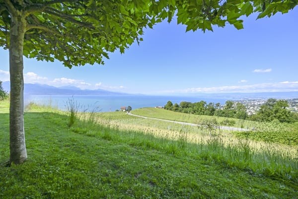 LUTRY - UNIQUE ! SOMPTUEUSE VILLA  AU COEUR DES VIGNES 4