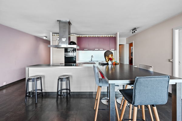 MONTREUX - ATTIQUE AVEC VUE PANORAMIQUE 7