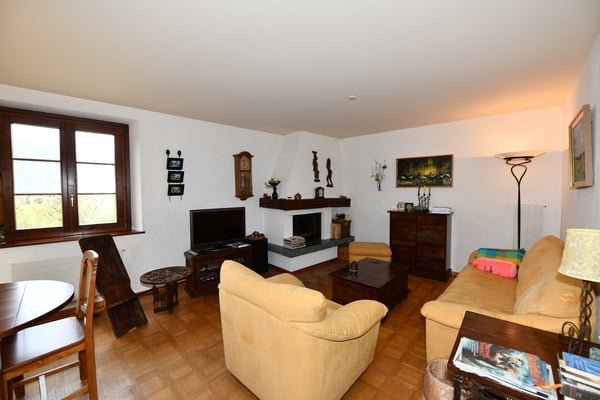 AIGLE - IMMEUBLE 3 APPARTEMENTS + 8 PLACES PARC 1