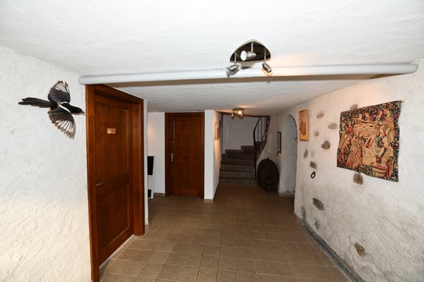 AIGLE - IMMEUBLE 3 APPARTEMENTS + 8 PLACES PARC 13