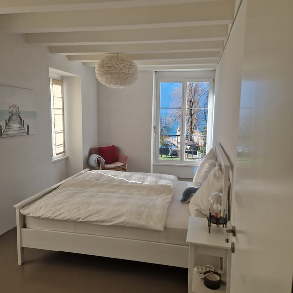 La Tour-de-Peilz - rue du Temple 1 - magnifique villa de 8.5 pièces 2