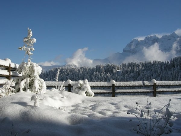 Prachtvolle 5.5-Zimmer-Wohnung – Chalet-Atmosphäre im Herzen der Alpen 13