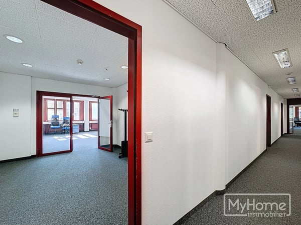 Local commercial lumineux de 395 m² idéalement situé 4
