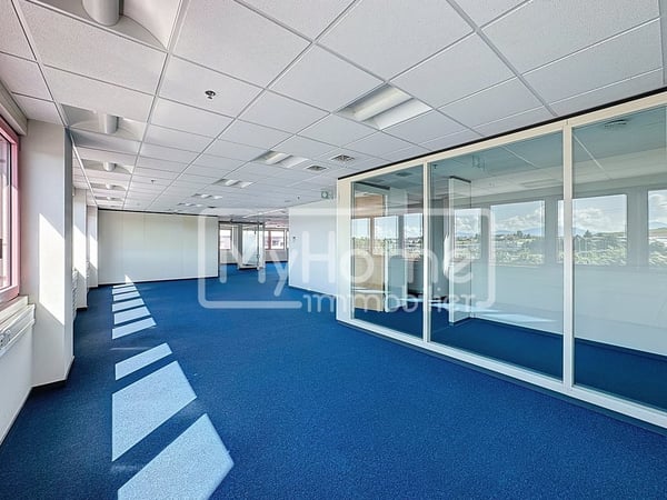 Grande surface commerciale de 1'485 m2 sur 2 niveaux à Lonay 8