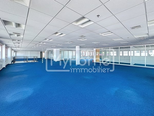 Grande surface commerciale de 1'485 m2 sur 2 niveaux à Lonay 4