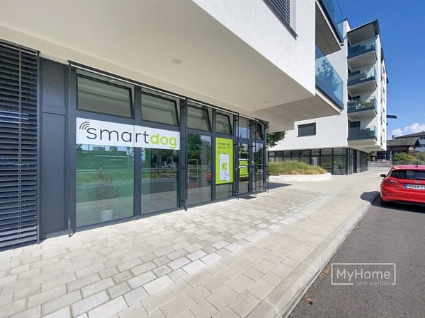 Aperçu de l'image de l'immobilier