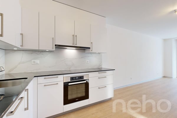 Magnifique appartement neuf en RDC de 1.5p avec terrasse! 5