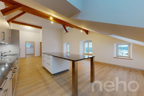 Splendide 1.5p sous les combles orienté sud dans bâtiment historique! 1