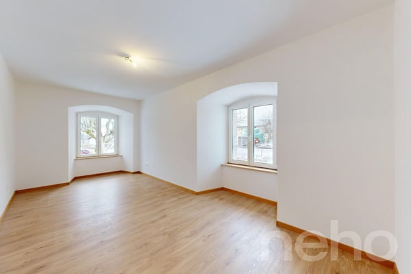 Splendide 1.5p sous les combles orienté sud dans bâtiment historique! 10