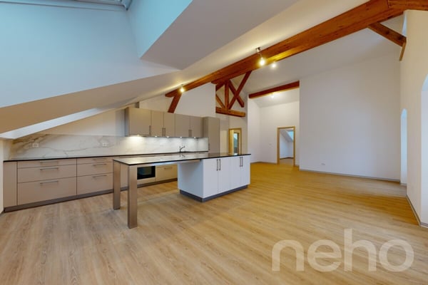 Splendide 1.5p sous les combles orienté sud dans bâtiment historique! 3