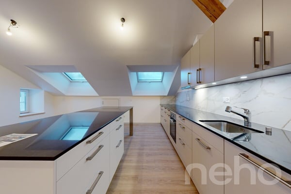 Splendide 1.5p sous les combles orienté sud dans bâtiment historique! 5