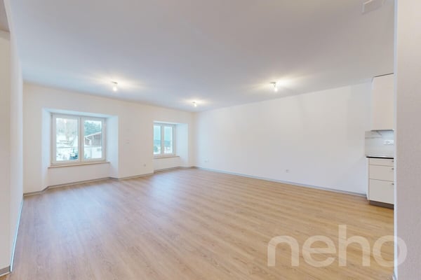 Superbe appartement de 1.5p orienté sud-ouest dans bâtiment historique 2