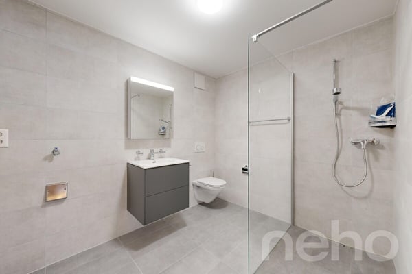 Superbe appartement de 3.5p orienté sud-ouest dans bâtiment historique 7