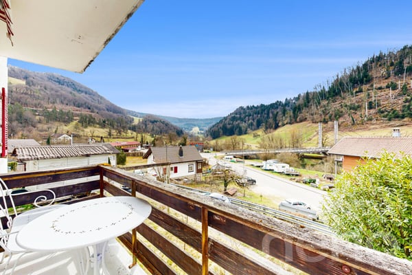 Belle maison de caractère à St-Ursanne ? 3 lots avec fort potentiel 10