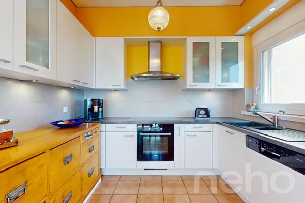 Maison familiale de deux appartements avec grand jardin arboré 7