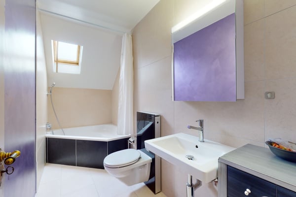 Opportunité Exceptionnelle - Attique entièrement rénové - Centre Ville 4