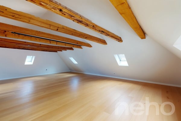 Opportunité Exceptionnelle - Attique entièrement rénové - Centre Ville 3