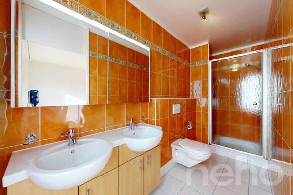 Lumineux 1.5 pièces avec grande terrasse et sans vis-à-vis 12